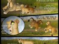 Taka_Comic_126_part_3_by_Savu0211.jpg